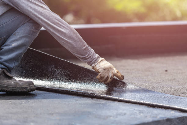 Professional Interior Drainage System technician working in McGuffey, OH